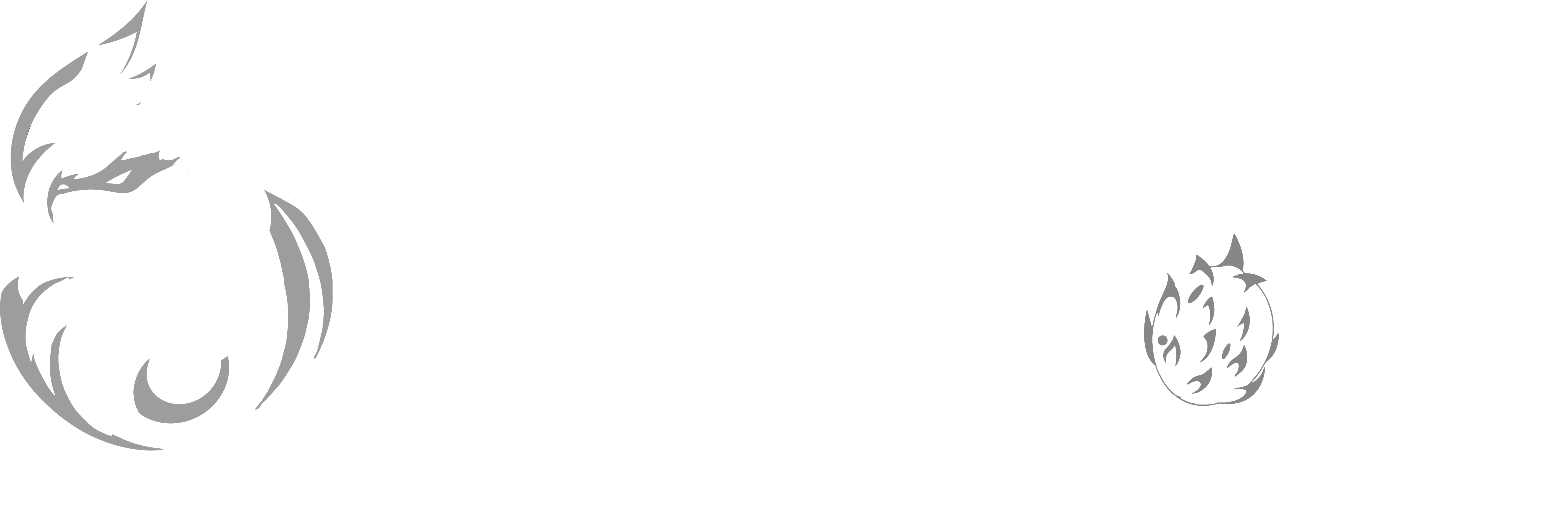 logo-footer